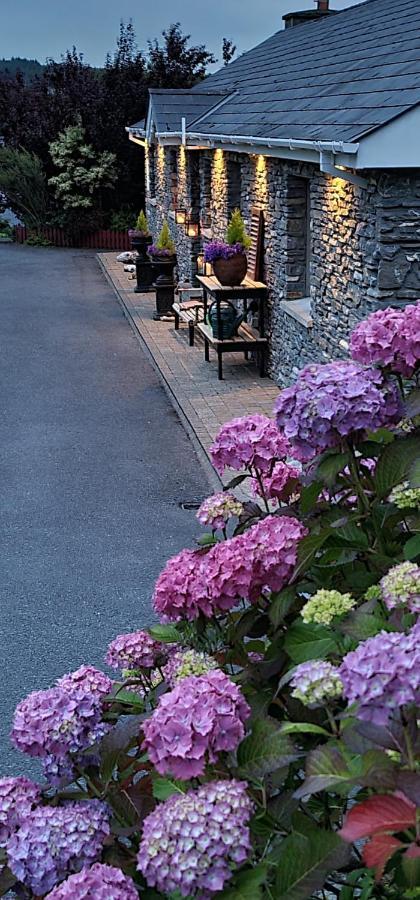 Kenmare Driftwood Bed & Breakfast Esterno foto